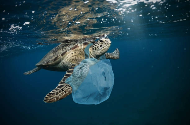 AI in ocean clean up
