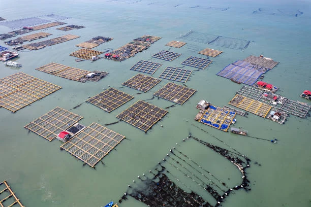 AI in ocean clean up