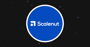 scalenutAI-Best-AI-writing-tools-of-2025
